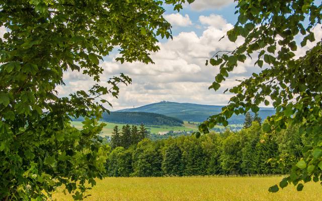 Ausblick Berg Wald