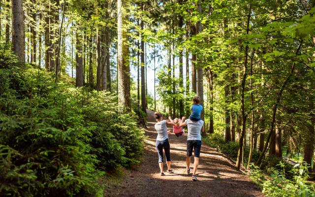 Familie Wandern Wald