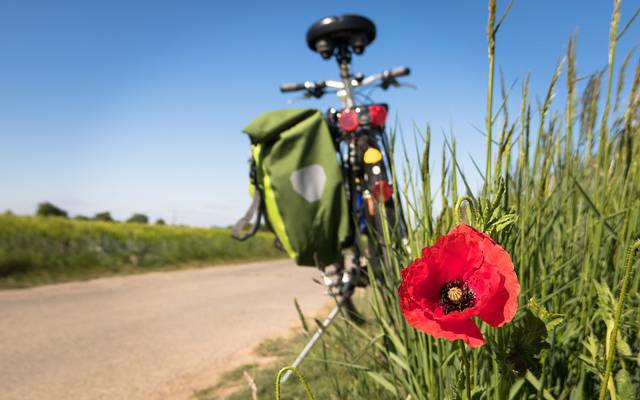 Fahrrad mit Mohnblume am Wegrand